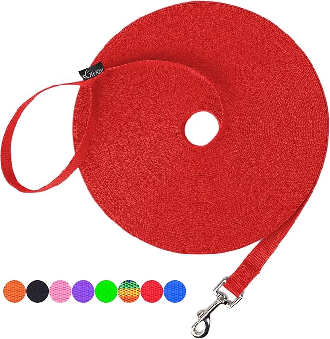 A red leash is rolled up and has a metal clip on it.